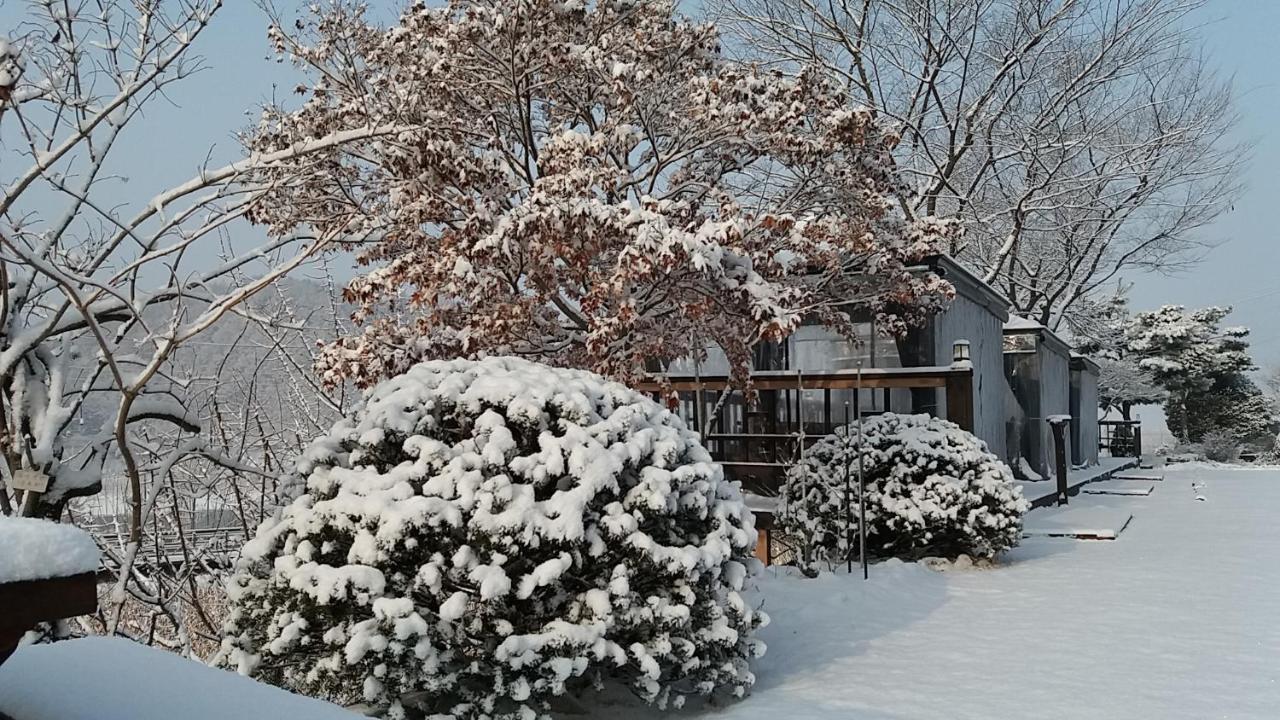 Forest Of Color Pension Hongcheon Exterior foto